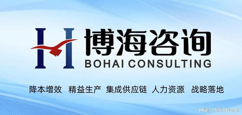 廣東6S精益管理咨詢公司 以軟件開發為引擎，實現企業成本優化新突破