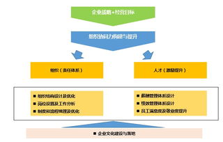 解碼企業成長的雙引擎 管理咨詢、培訓與軟件開發的協同之道