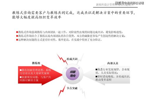 新組織設計管理咨詢項目建議書